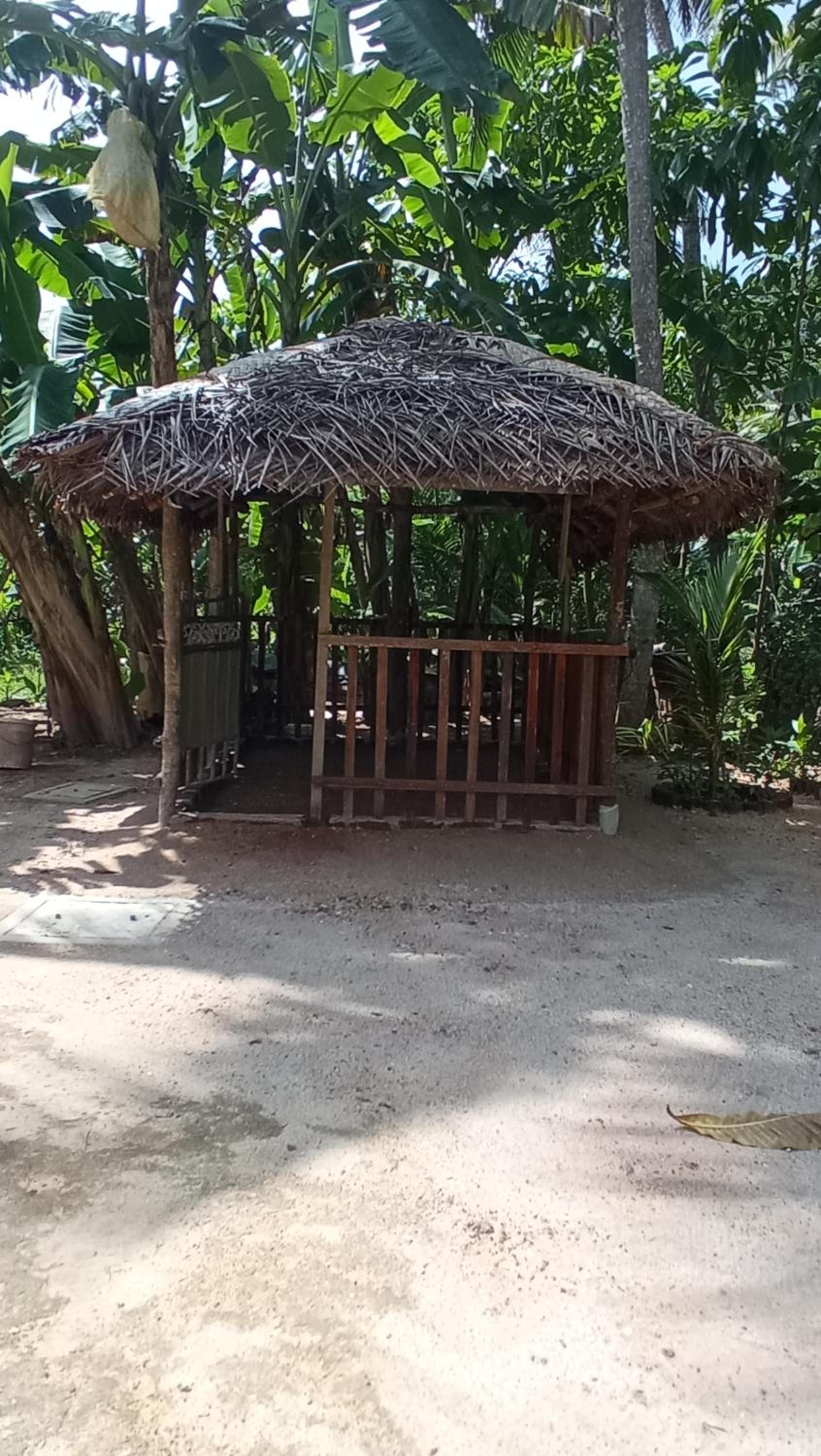 Green Lodge Villa view 5