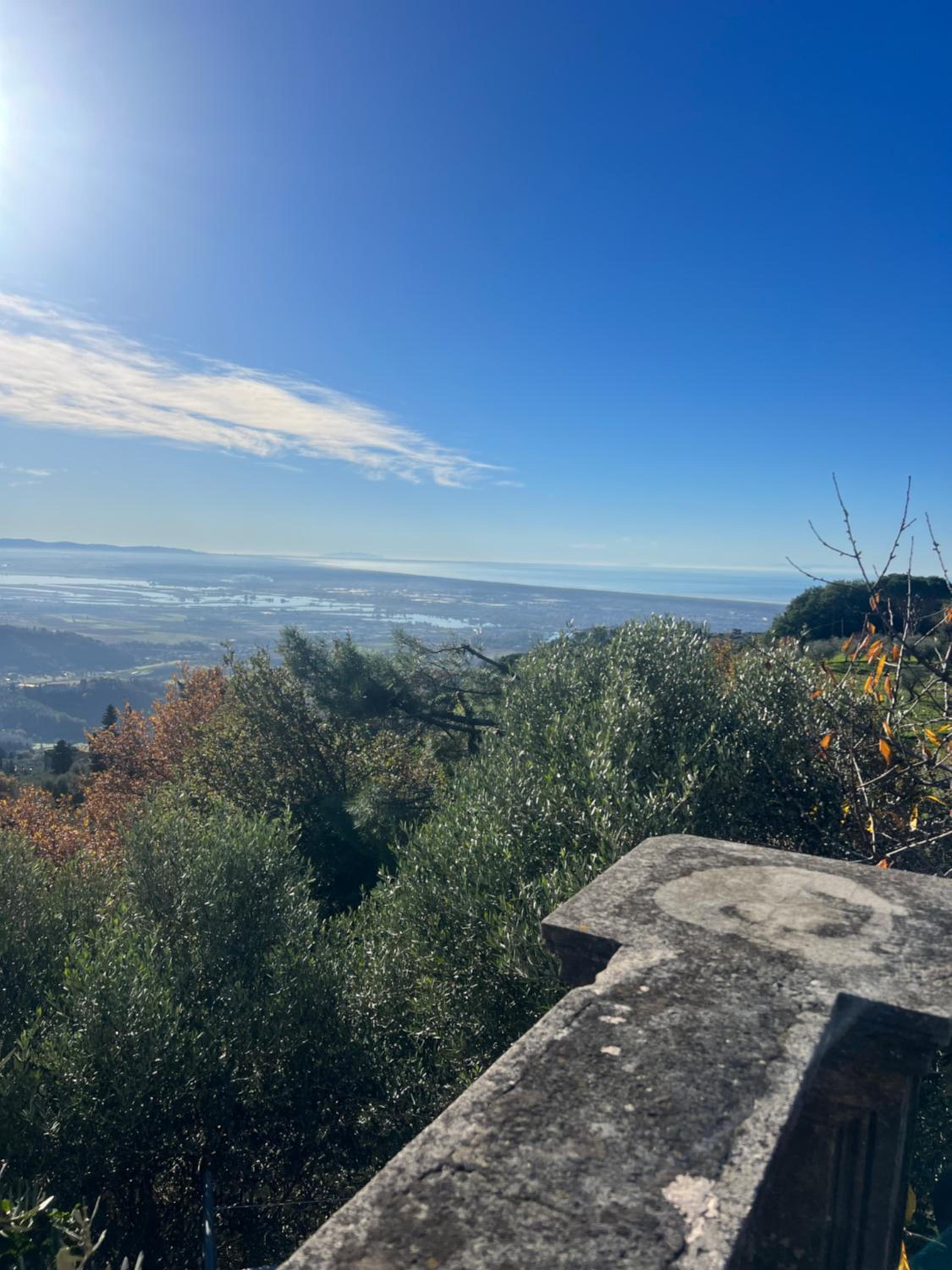 Villa Girasole
