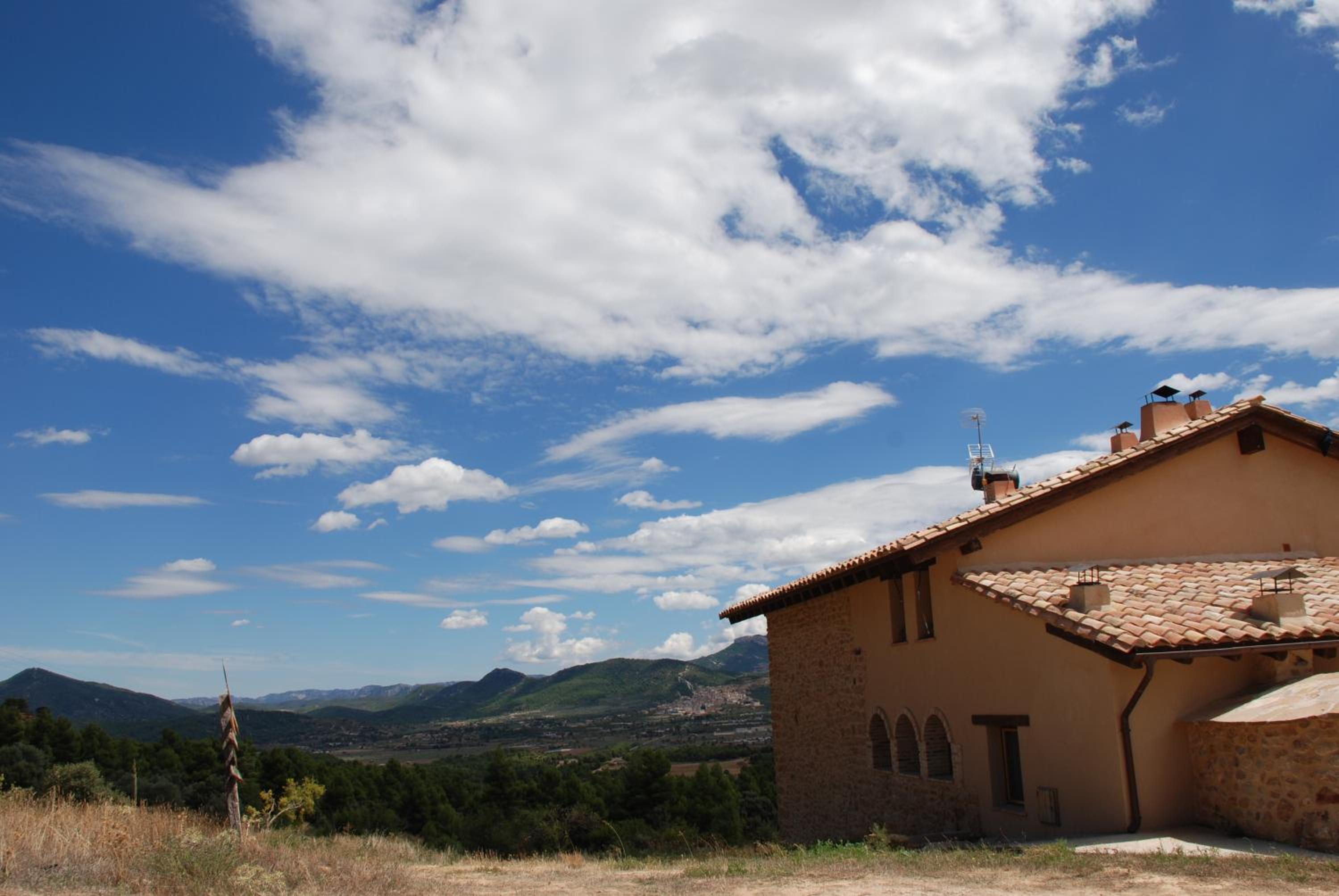 Photo 42
