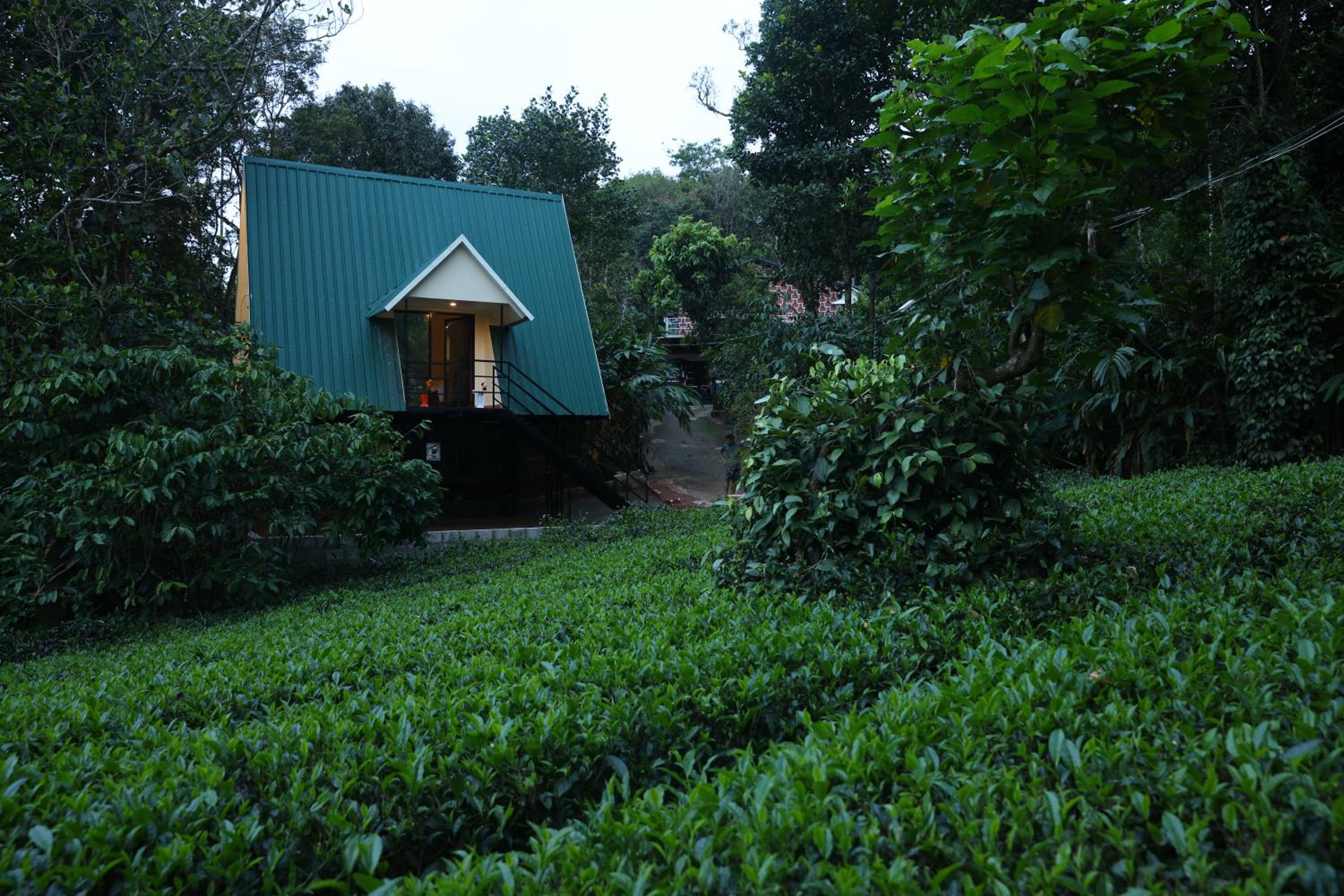 Photo 17