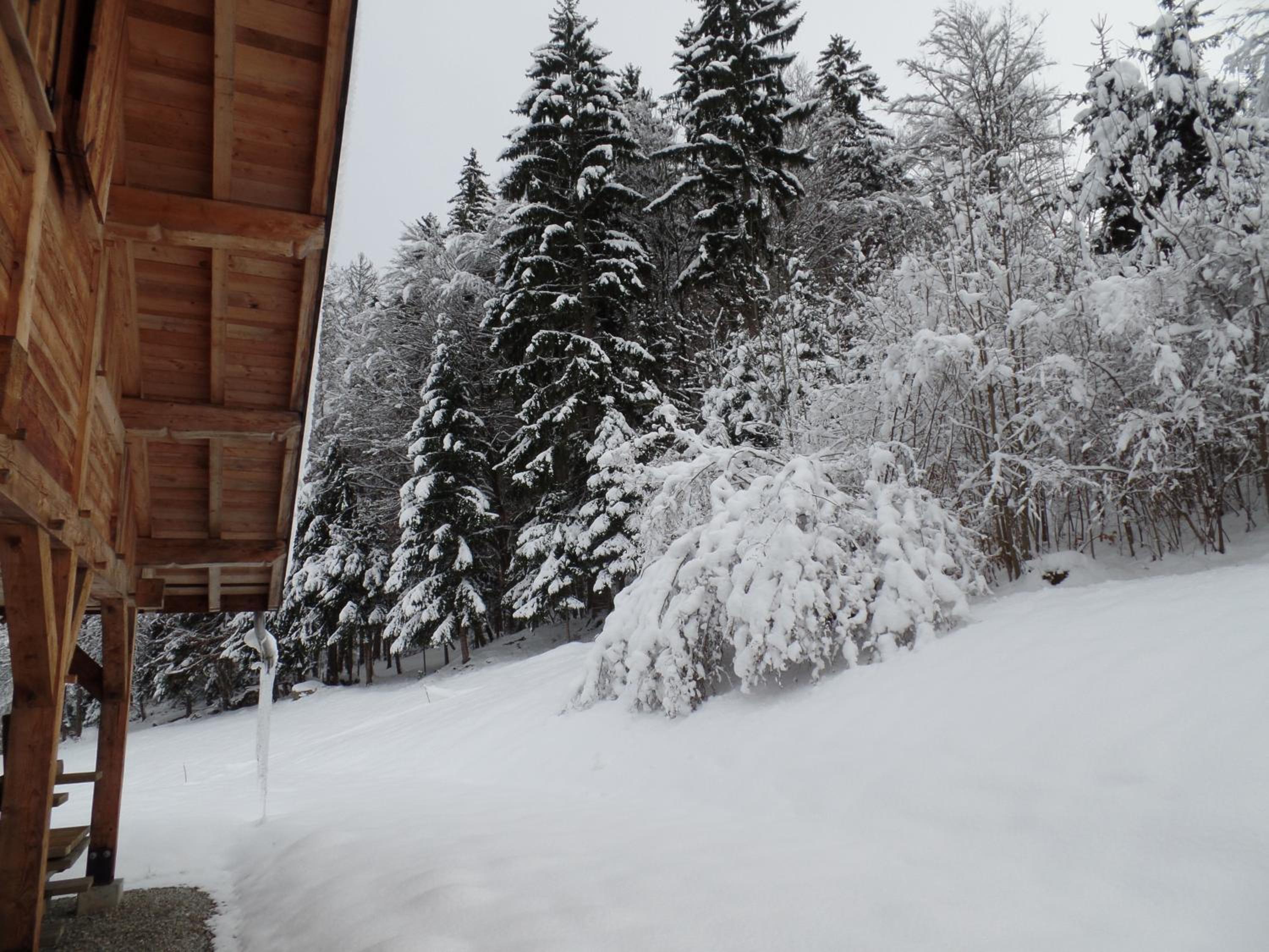 Le Caribou, photo 40