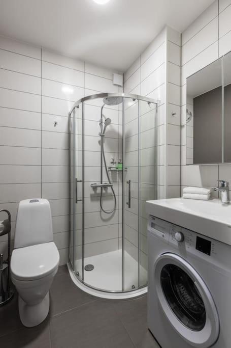 Apartment in a renovated property, 30 m2