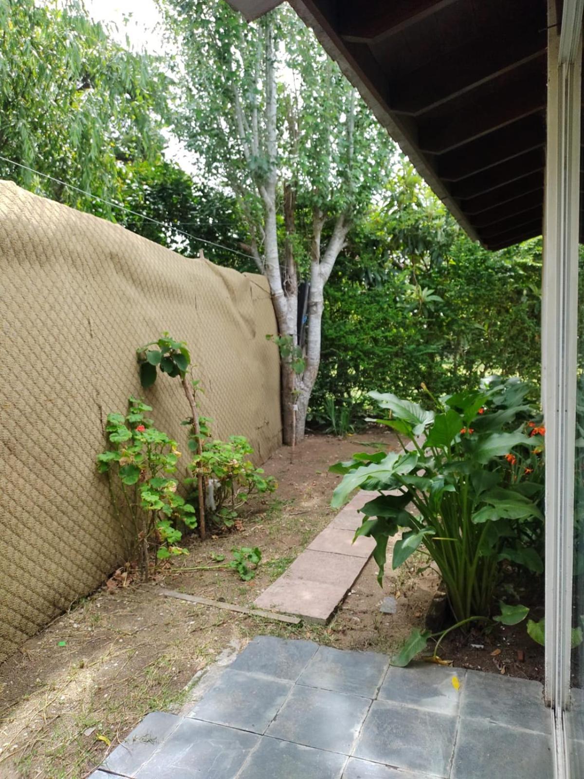 Casita Amarilla