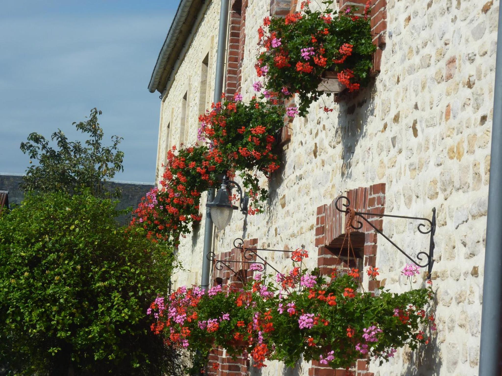 Photo 42