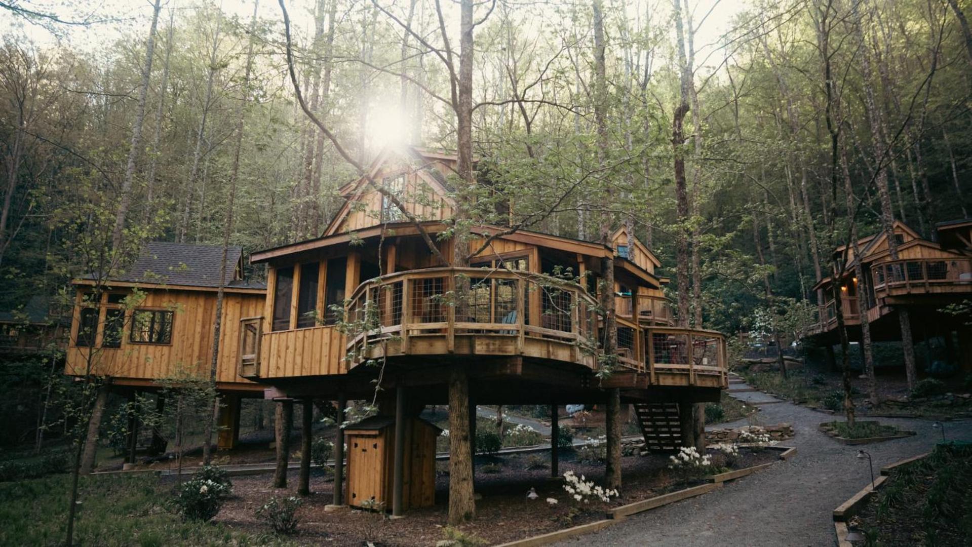 The Poplar in Treehouse Grove at Norton Creek view 2