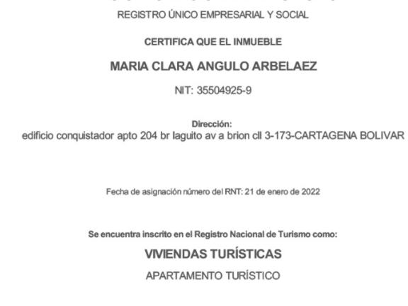 Cartagena Linda 204