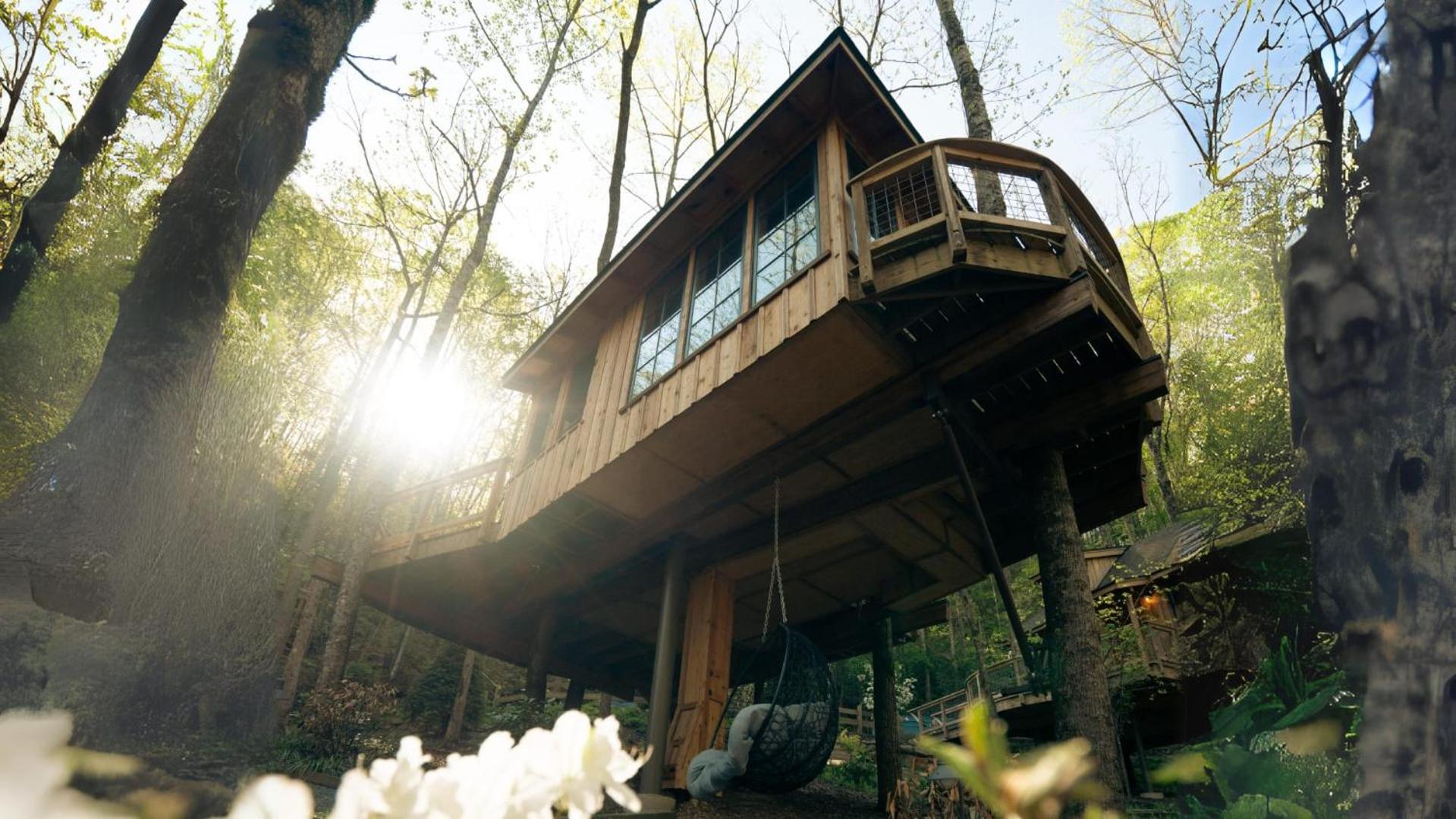 The Hemlock in Treehouse Grove at Norton Creek view 2