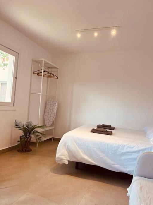 Casa Plaza 1 view 2