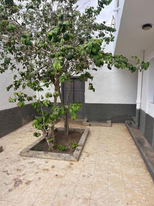 Casa Plaza 1 view 4
