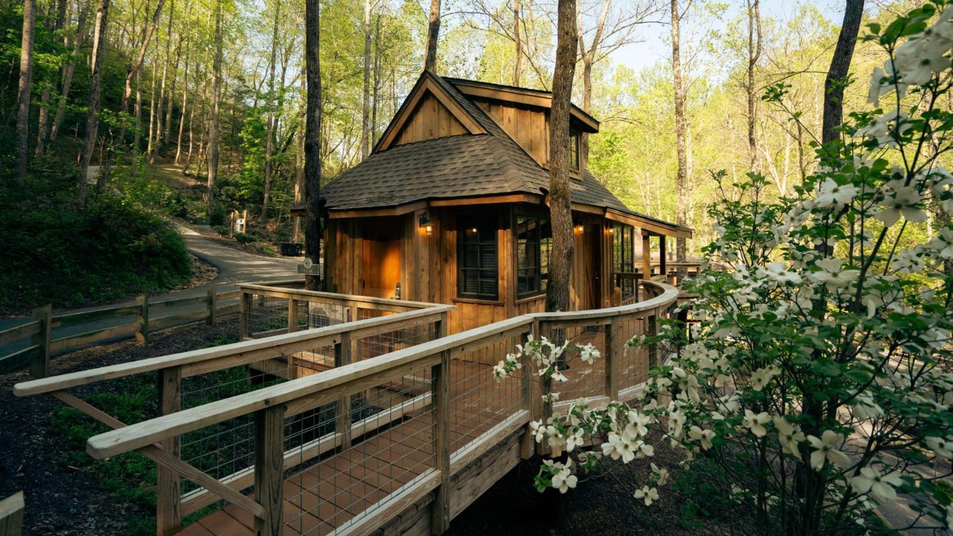 The Elm in Treehouse Grove at Norton Creek - main view
