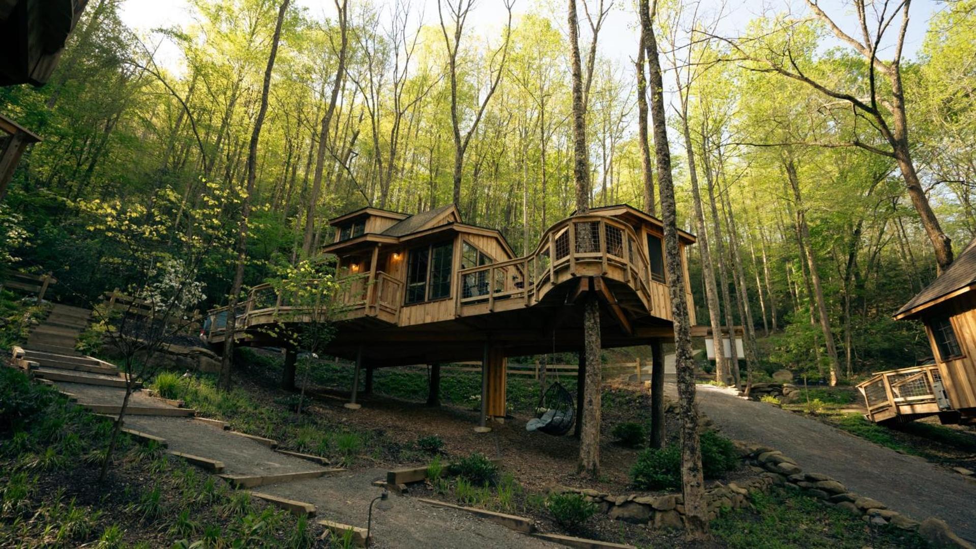 The Elm in Treehouse Grove at Norton Creek view 2
