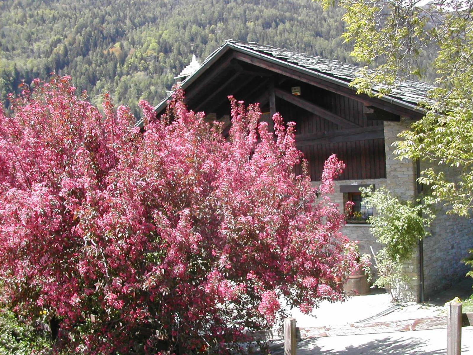 Photo 28