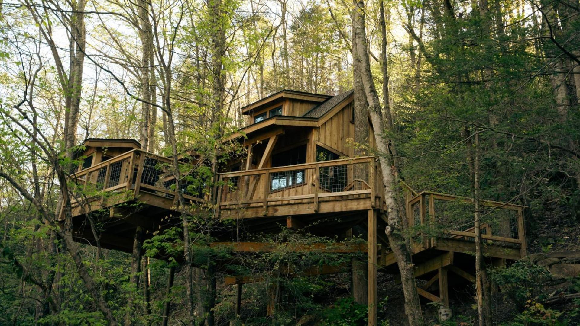 The Dogwood in Treehouse Grove at Norton Creek view 2