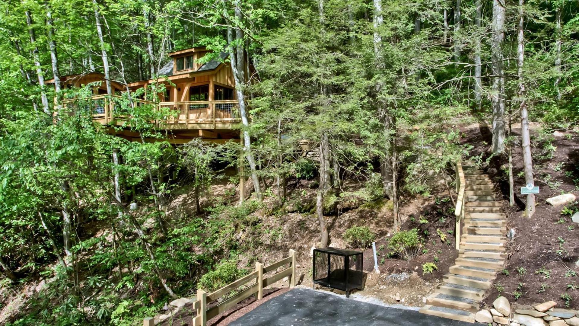 The Dogwood in Treehouse Grove at Norton Creek view 4