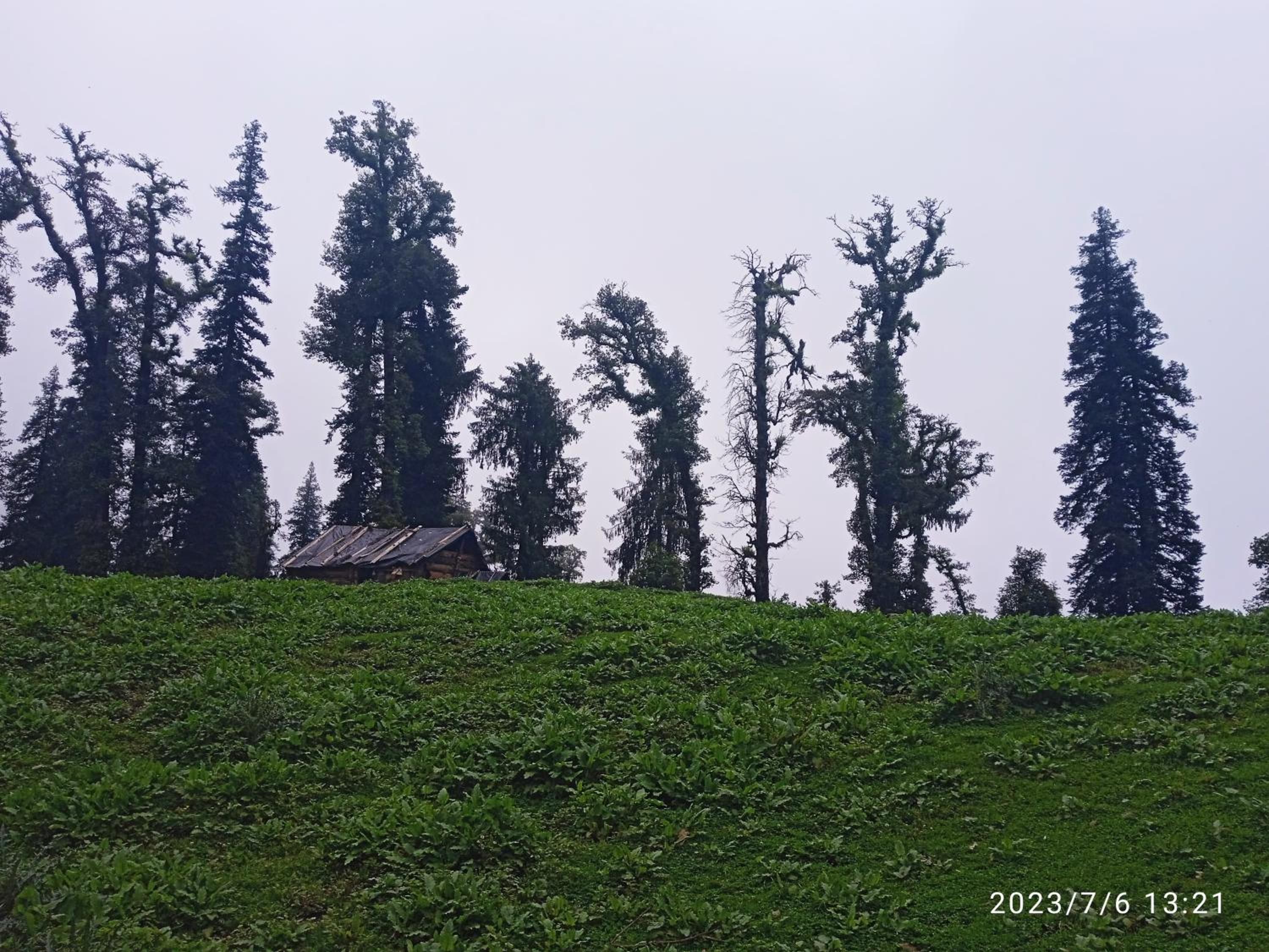 Photo 24