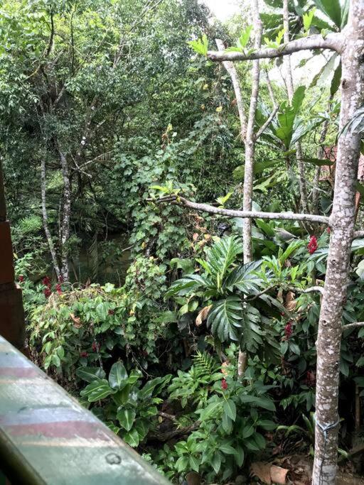 Cabaña con acceso al rio
