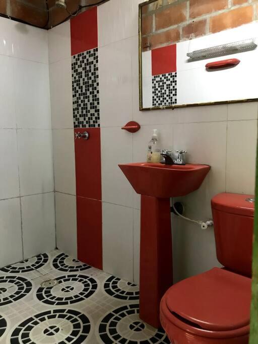 Cabaña con acceso al rio