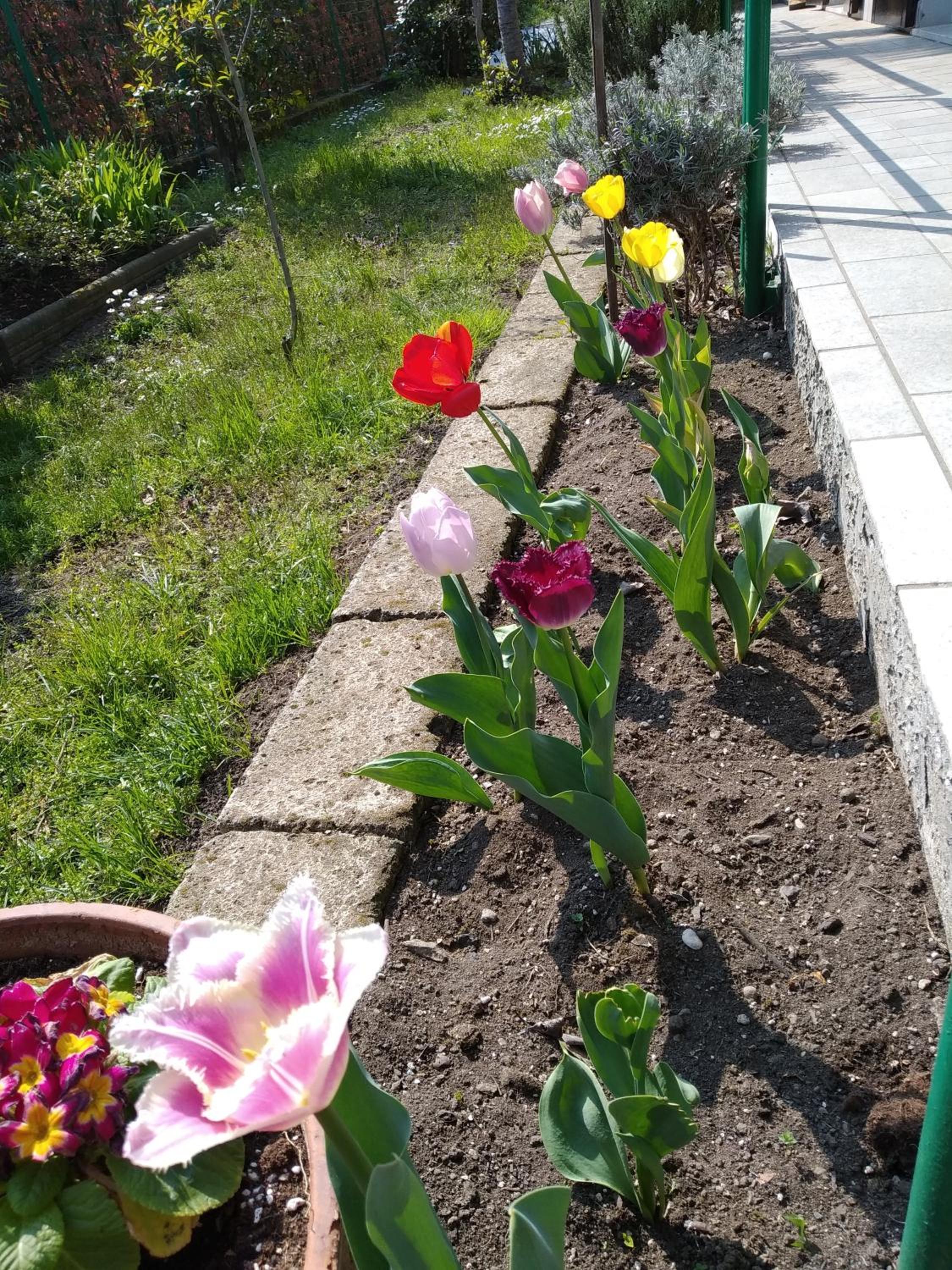Photo 21