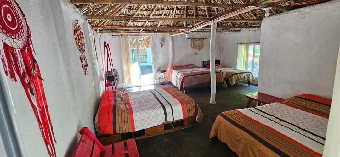 Cabañas, Jardín De Las Palmas, Rancho Agroturístico, Tamuín S.L.P. view 4