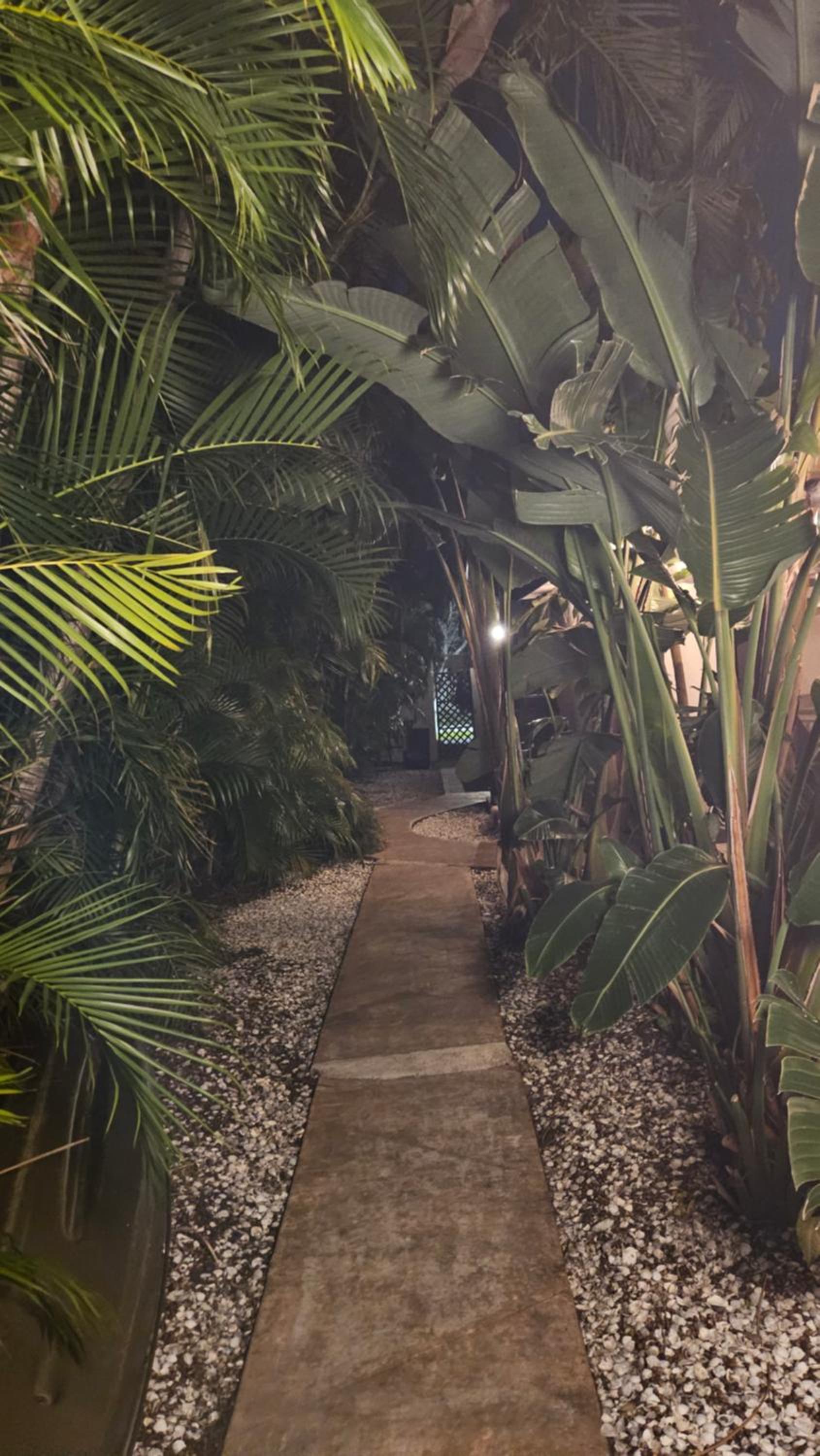 Peaceful Oasis