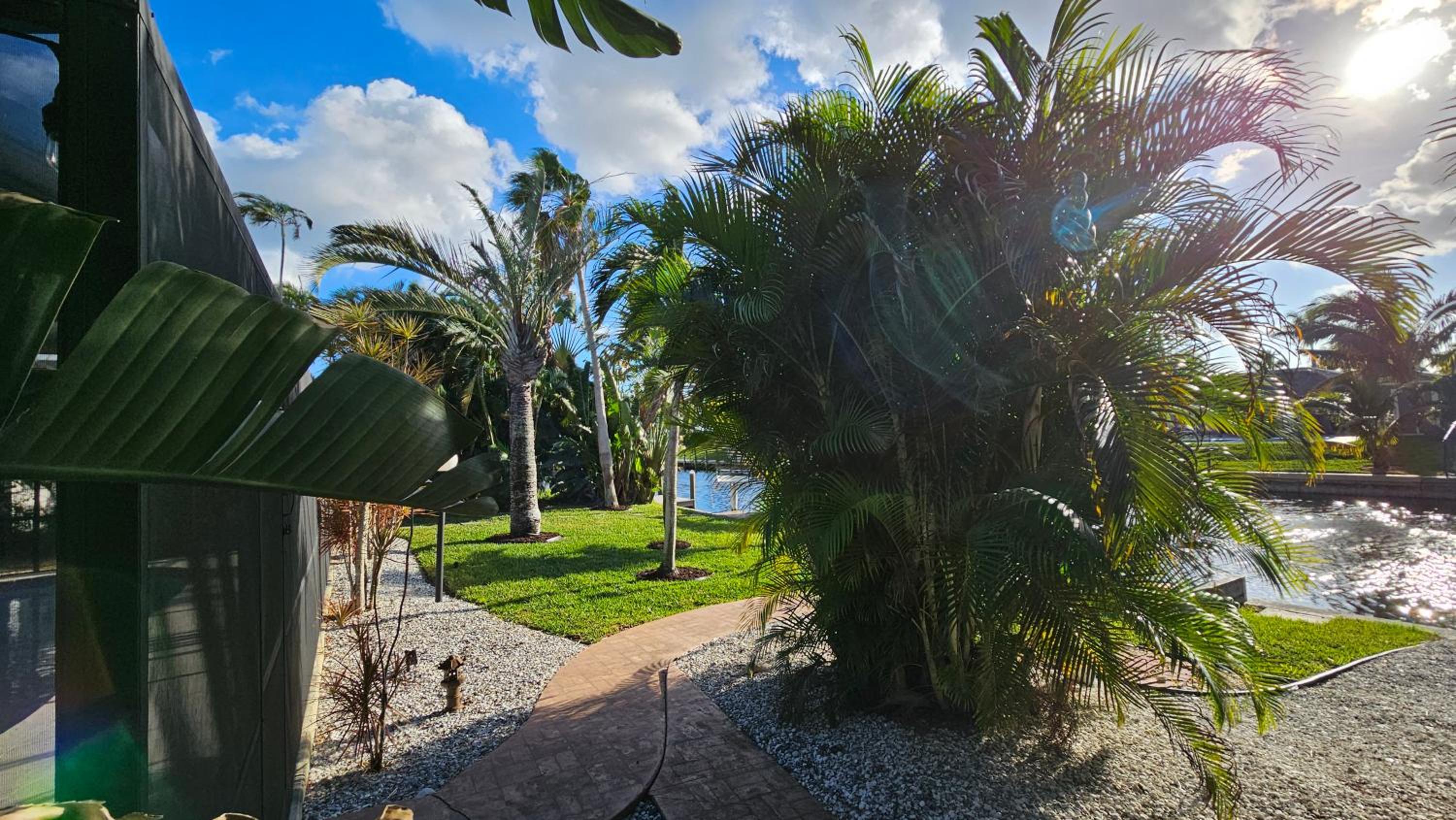 Peaceful Oasis