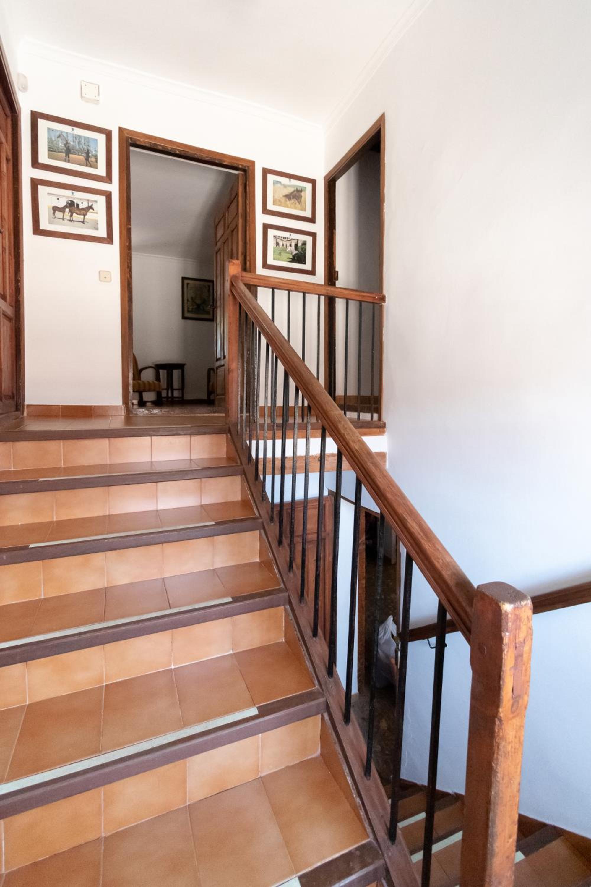 Finca  SPA Vereda Real - Property Image 122