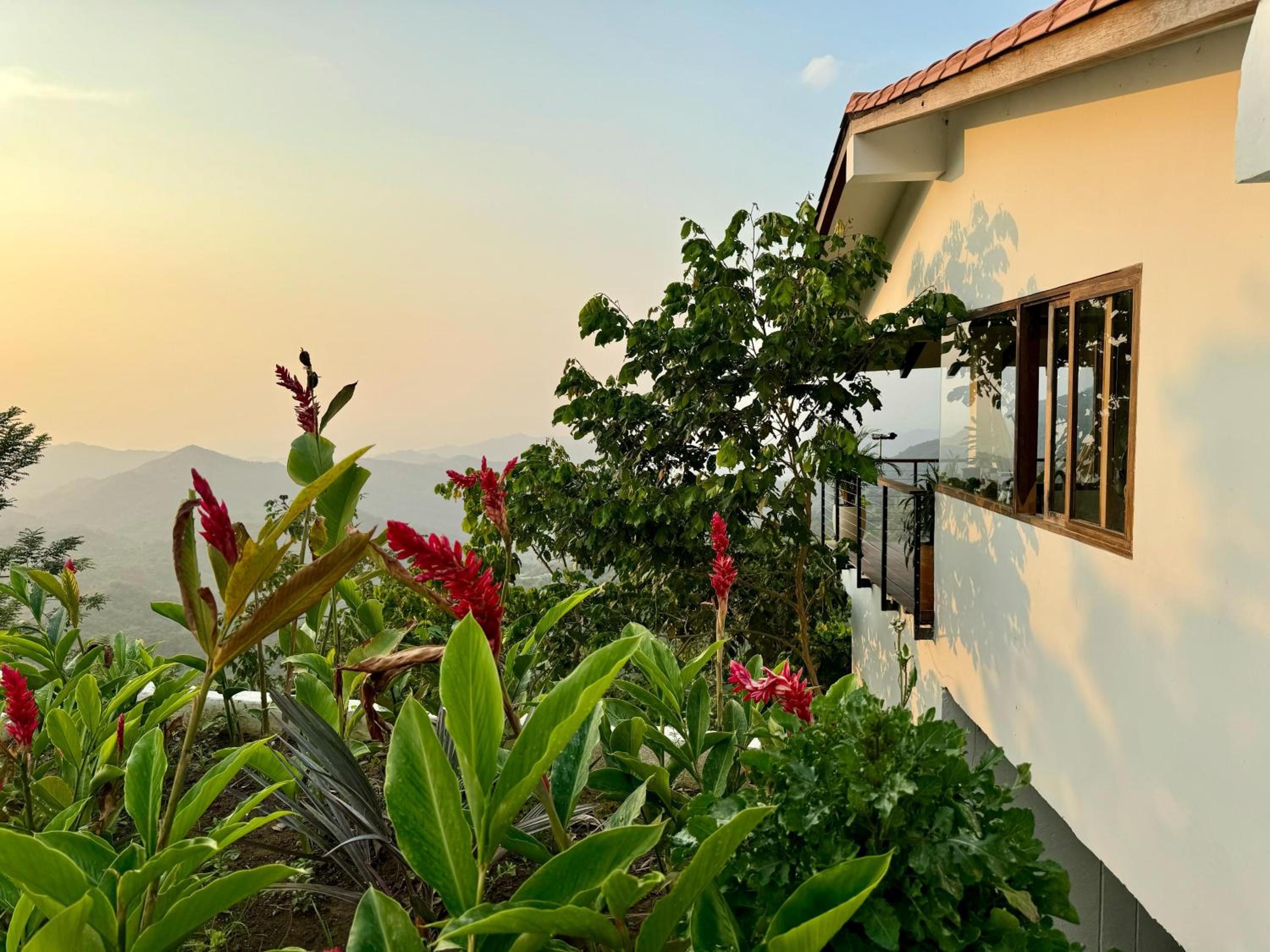 Villa Canopy Minca - Property Image 34