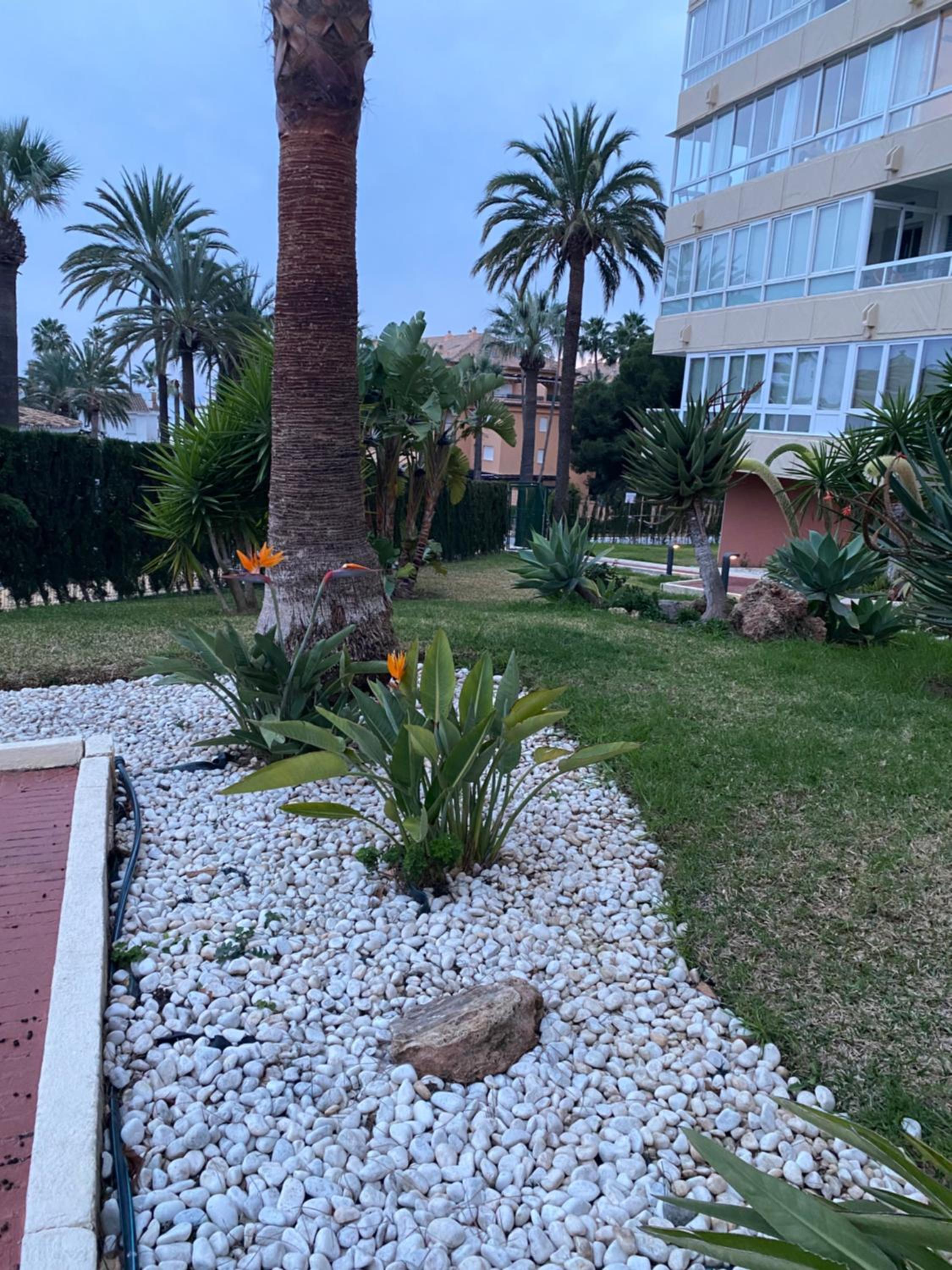 Apartamento Buenavista
