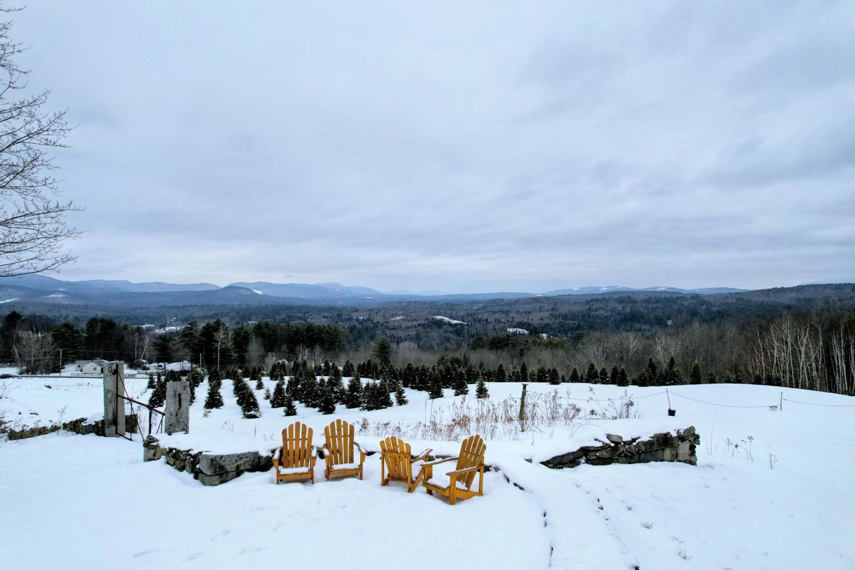 Experience the Rocks Estate like never before with a stay at the Gardeners Cottage! view 2