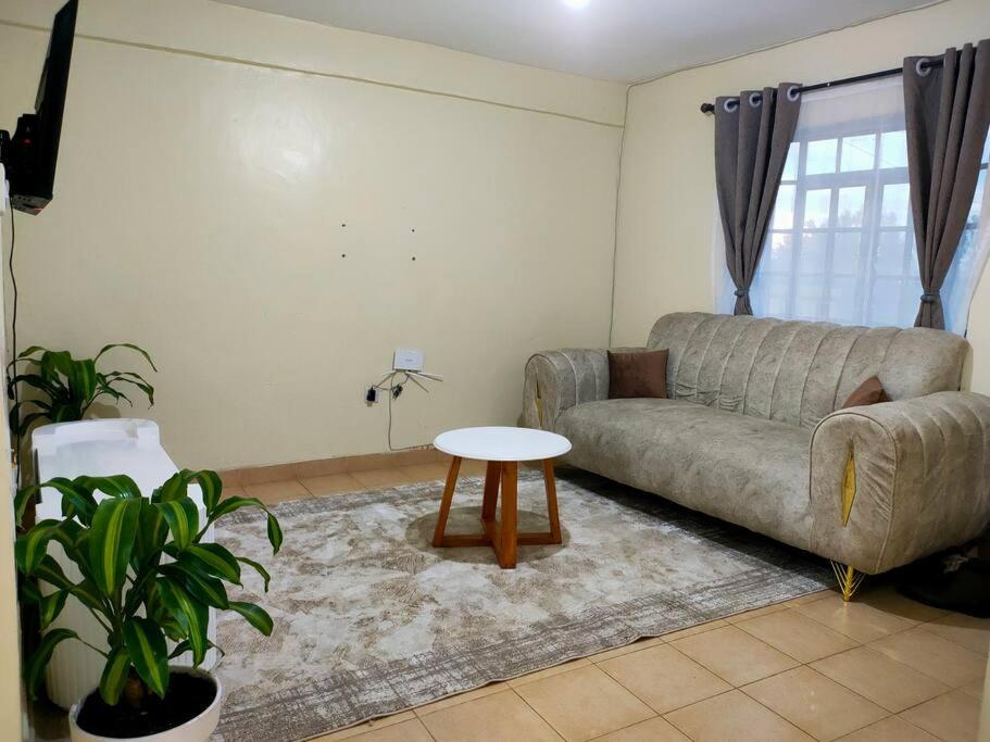 Fancy One Bedroom Juja view 2