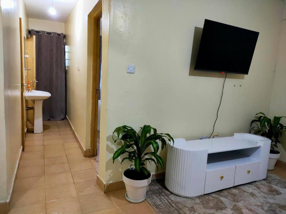 Fancy One Bedroom Juja view 4