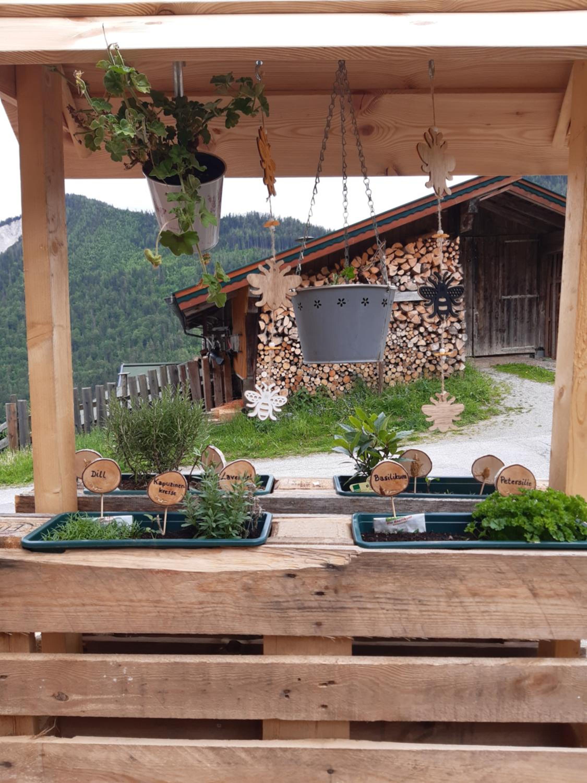 Ferienhaus Lechnerhof en Schladming