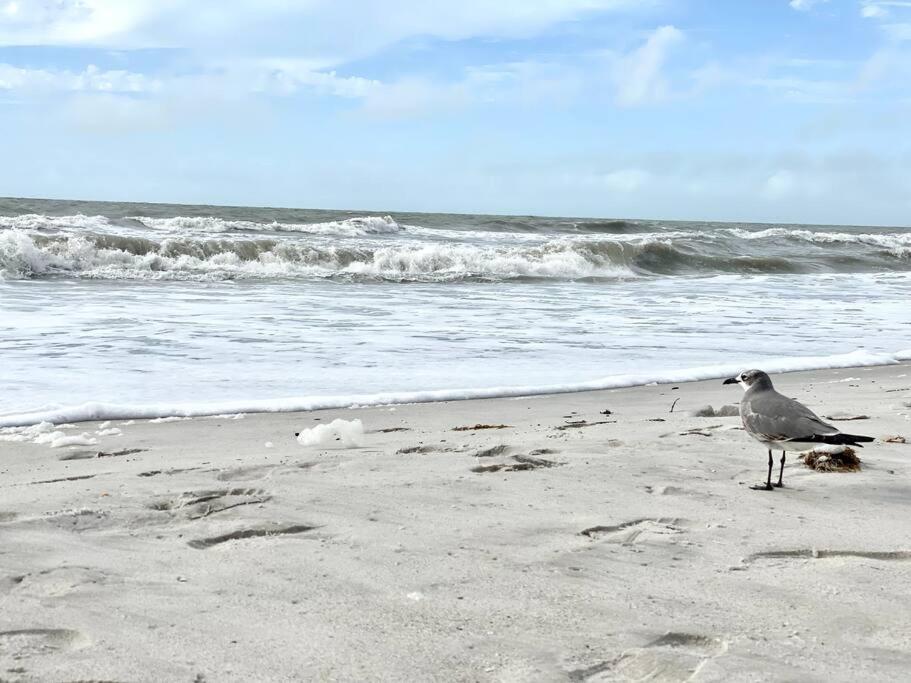 Waterfront Home With Heated Pool/Jacuzzi and only 1mile to beach view 3