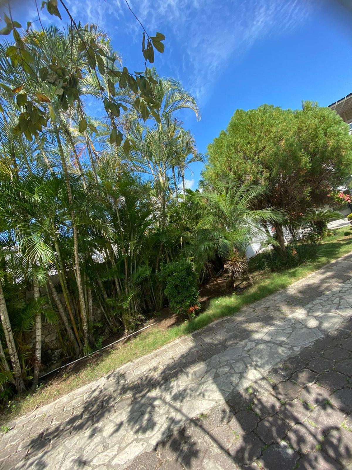 Juan Dolio Vacations - D' Franchesis Hostal - Property Image 47