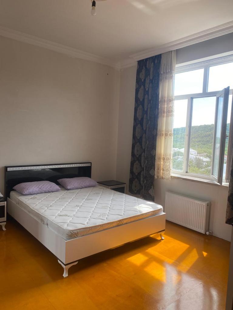 GUEST House