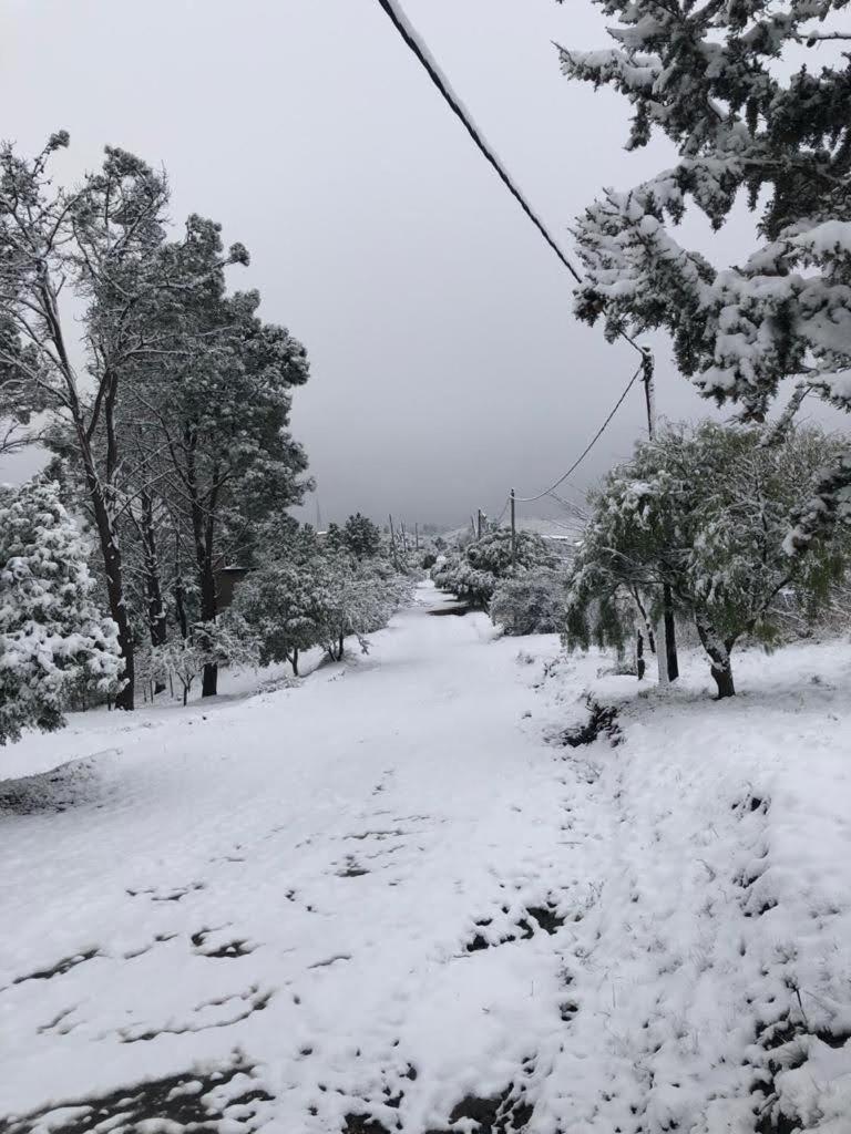 El Calden