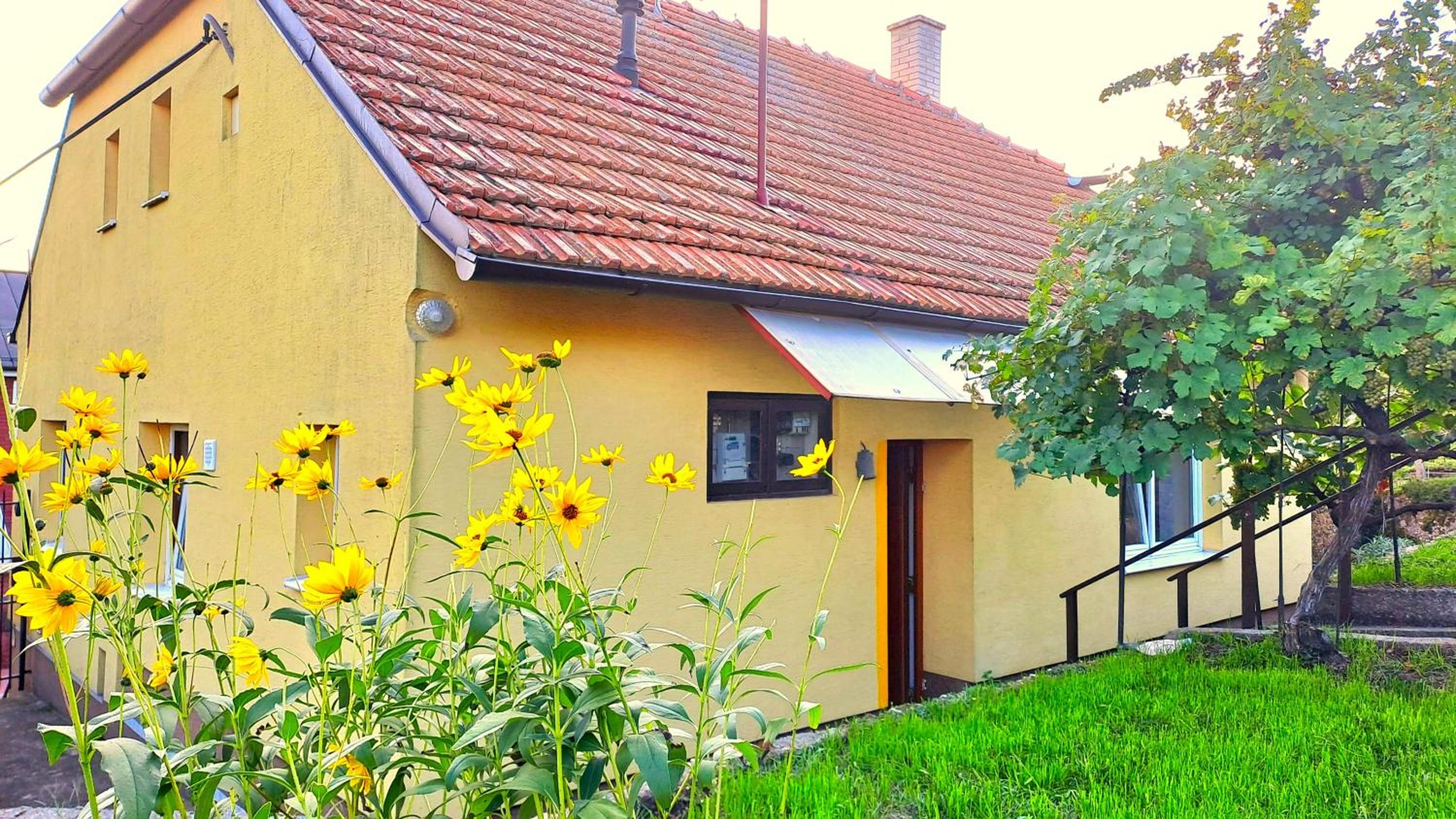 Domek na vinohradech