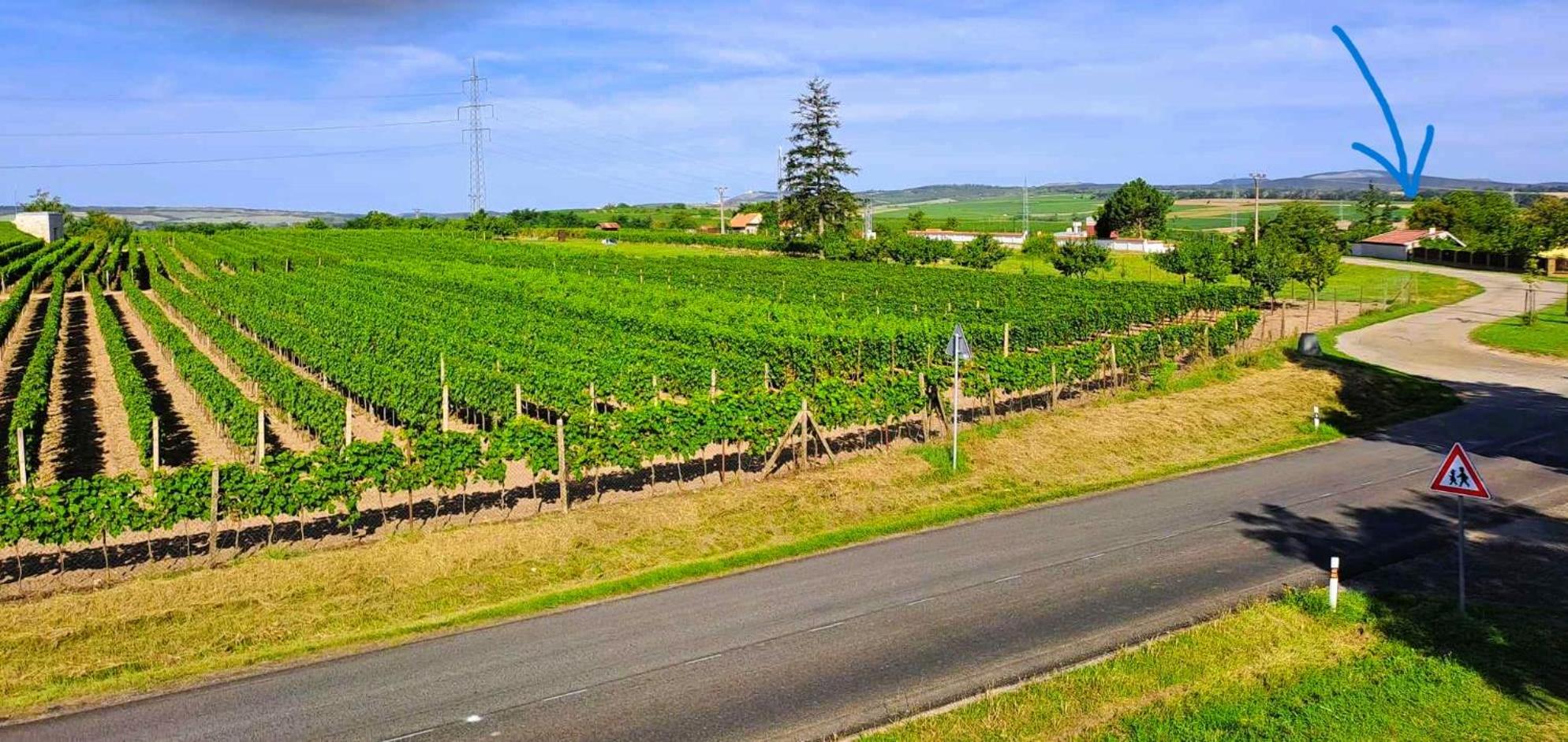 Domek na vinohradech