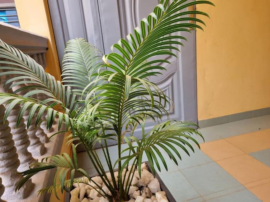 Résidence Schilo - appartement équipé avec piscine privée et rooftop