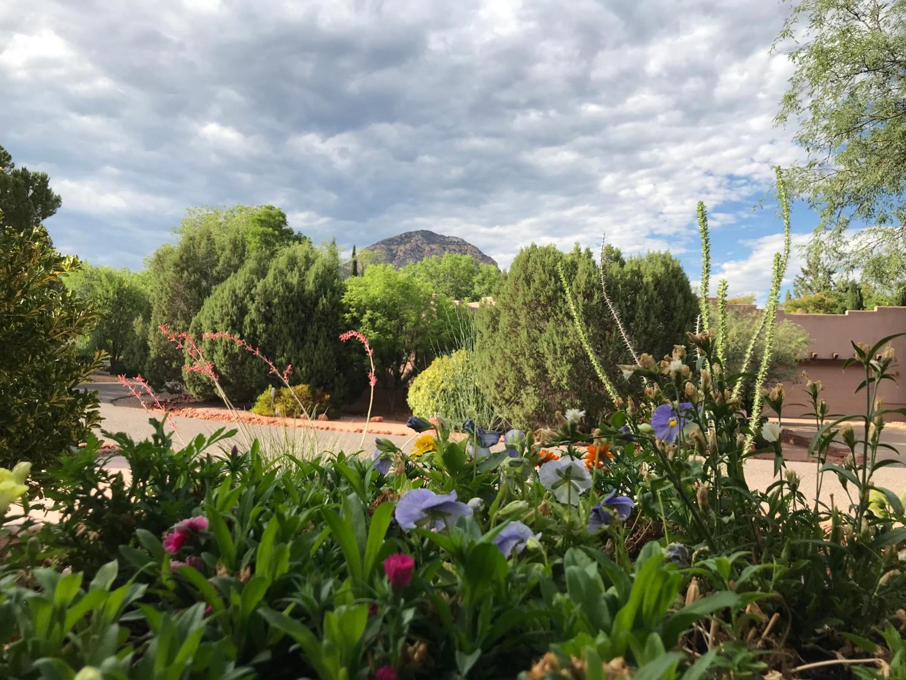 other
