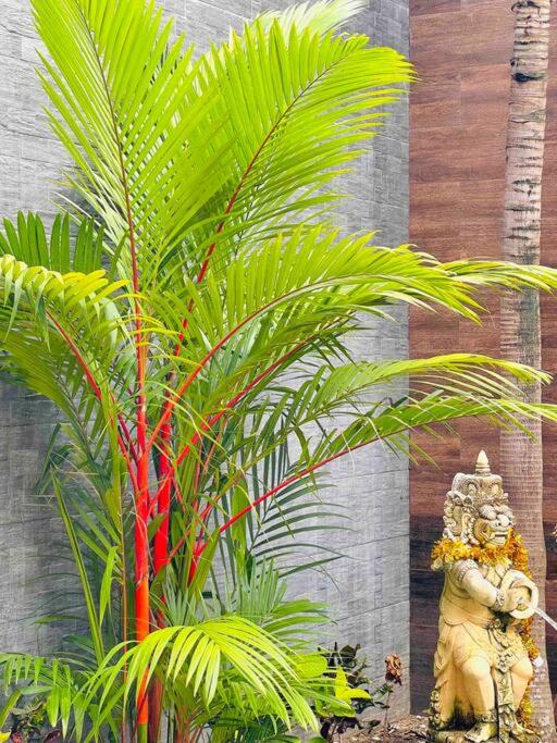 Villa Lora: Retreat for Tranquility and Bliss