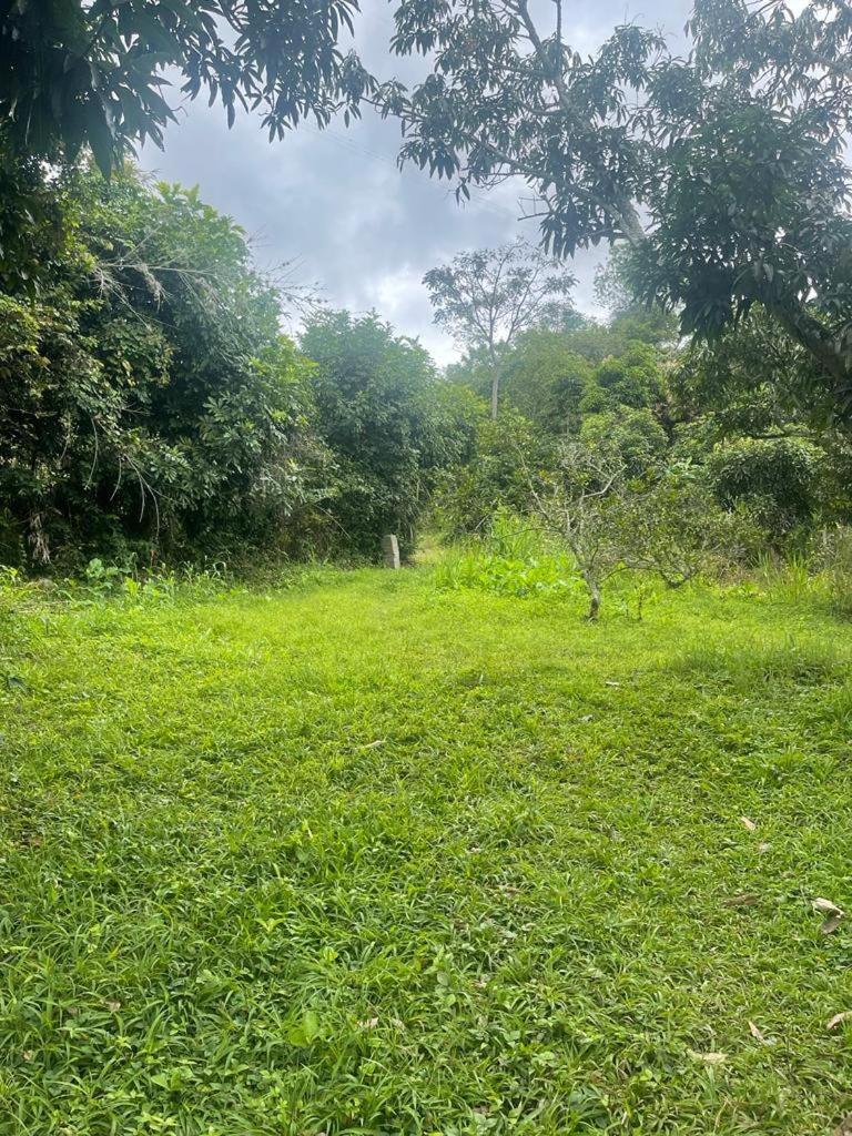 Finca La Samara