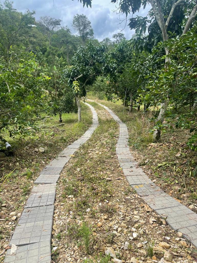 Finca La Samara