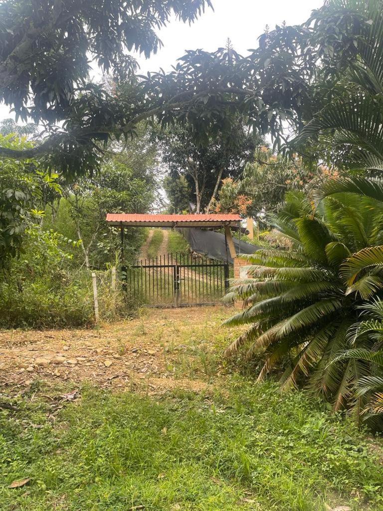 Finca La Samara