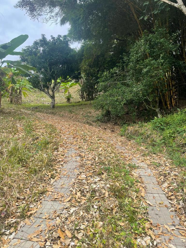 Finca La Samara
