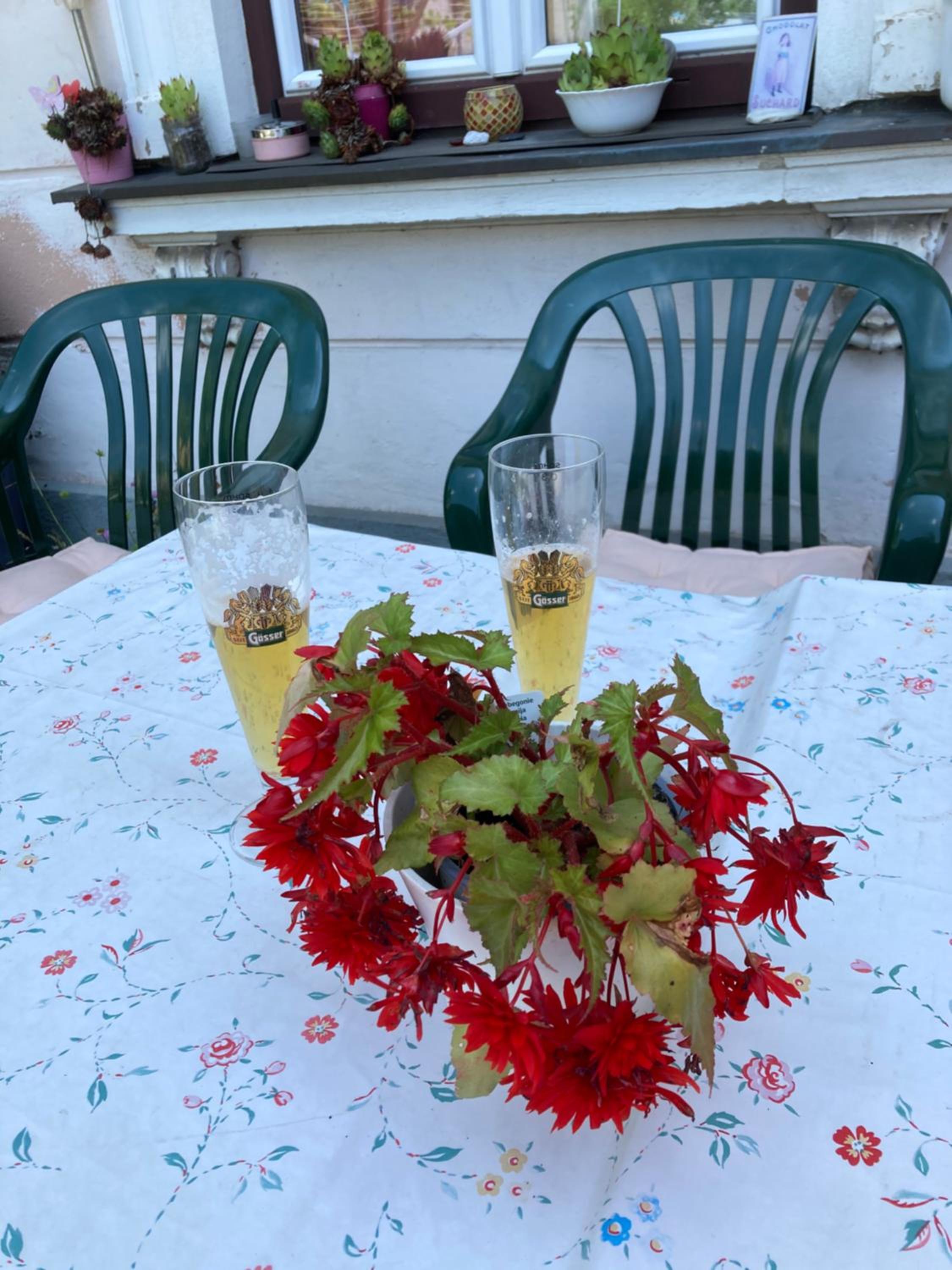 VILLA BRUNEGG Leoben GÖSS