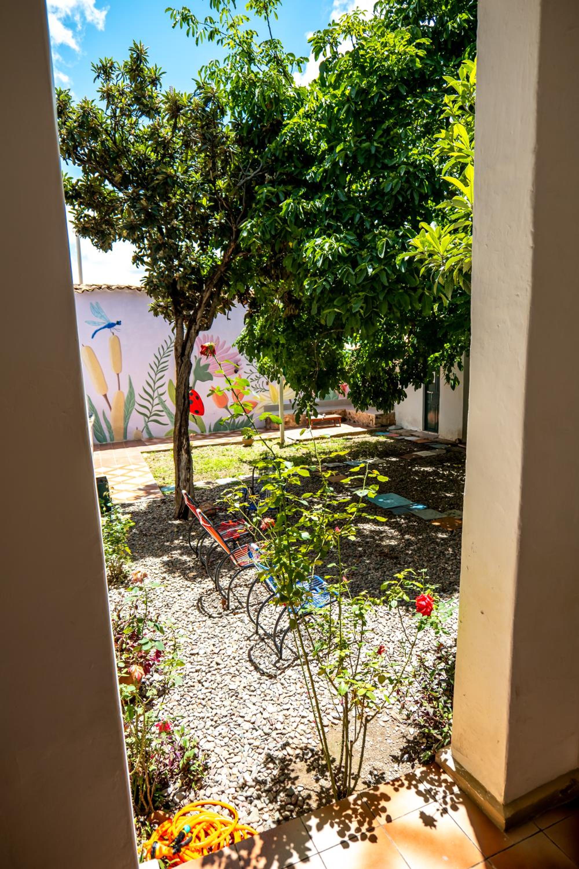 Dragonfly Guest House