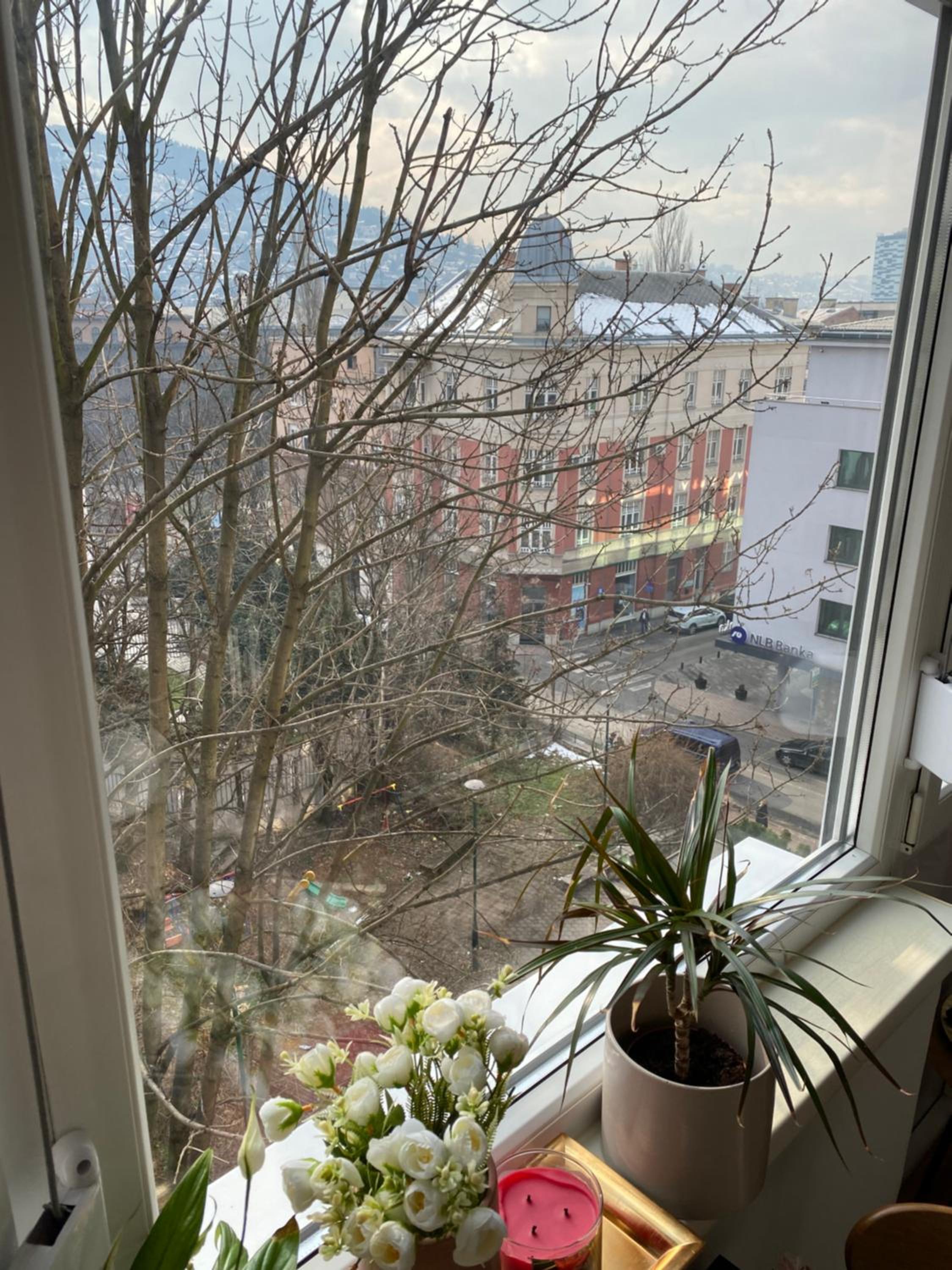 Studio Central Apartment