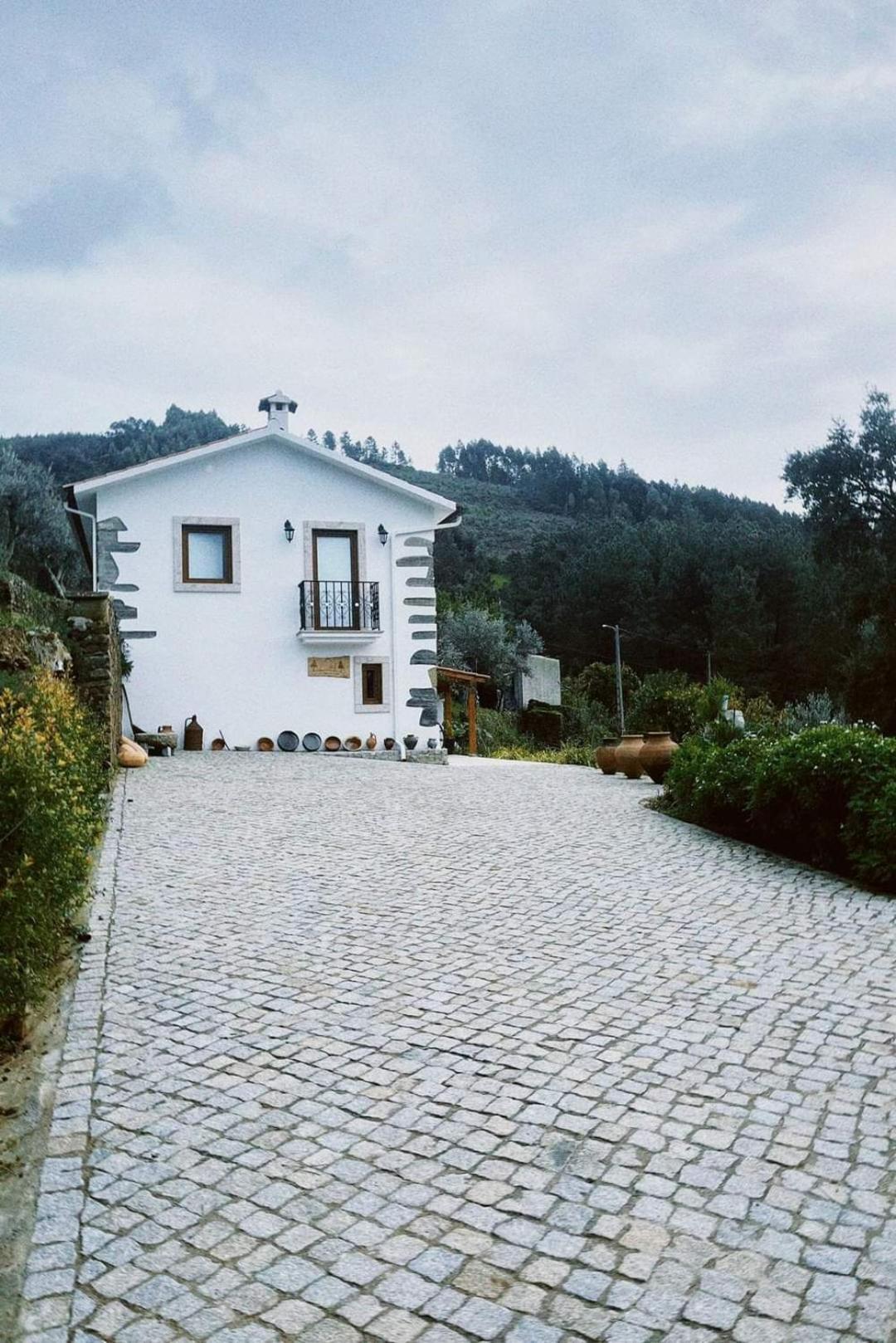 A Casa dos Avós - Alojamento Local view 3