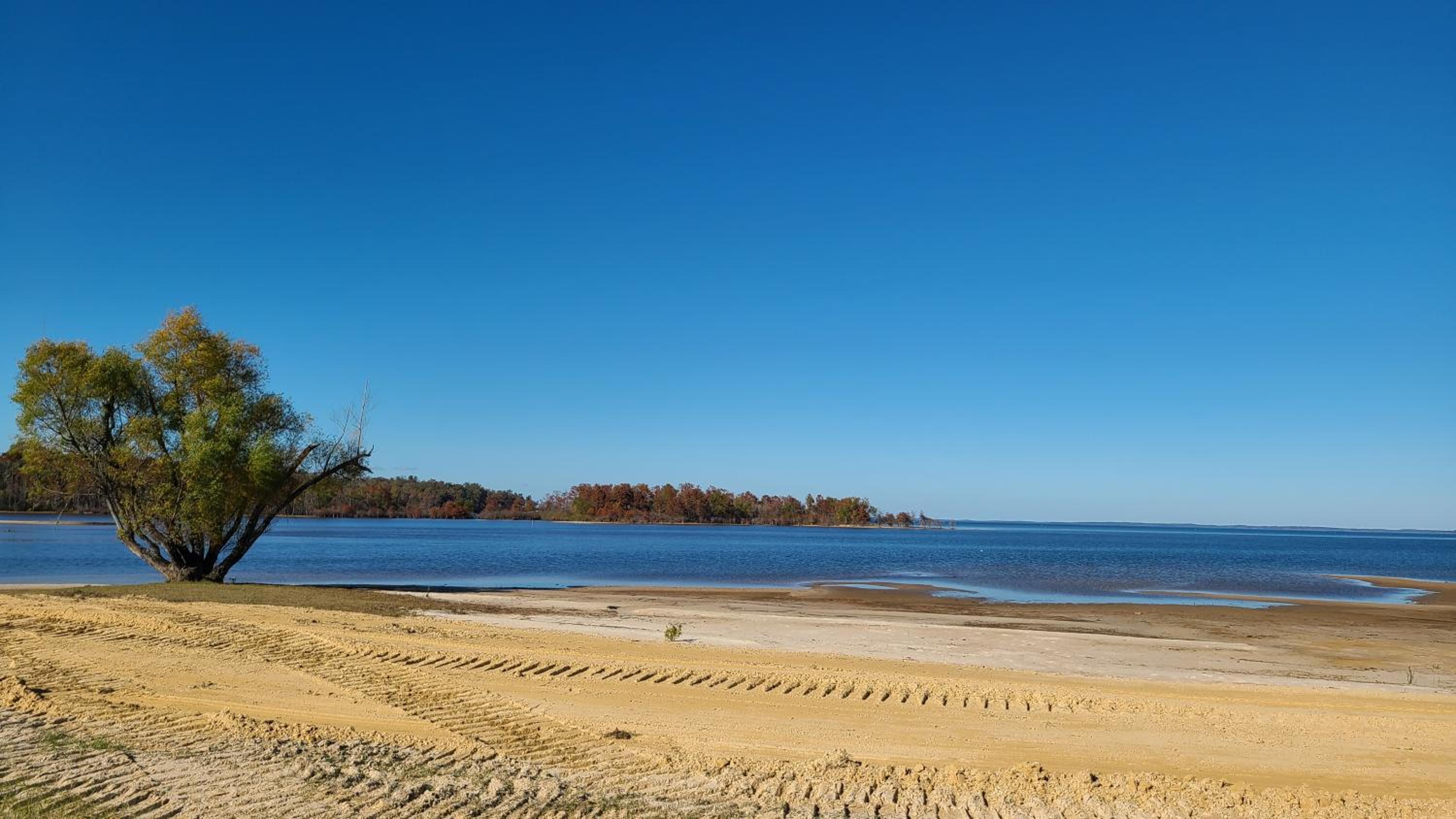 McGee's Landing Lakefront Cabin 2 on Toledo Bend Lake - Property Image 16